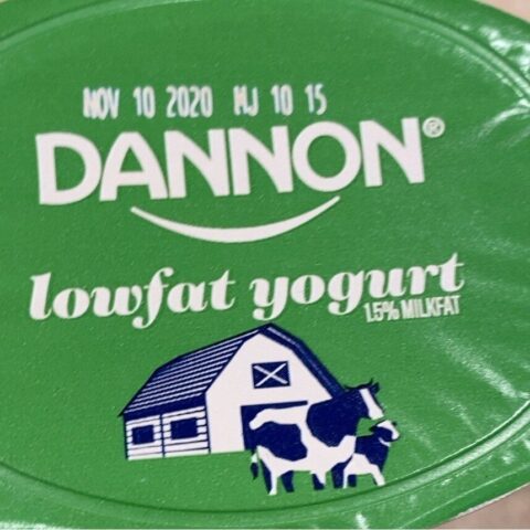 Dannon Lowfat Yogurt Plain 32 oz — front of pack